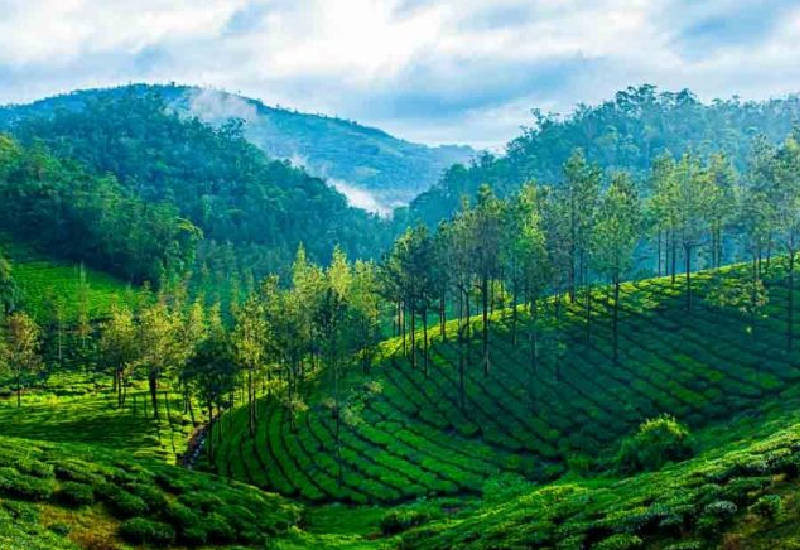South Kerala 6 Night 7 Days
